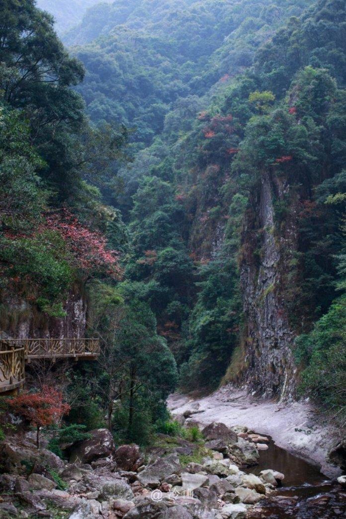 沪江开心词场